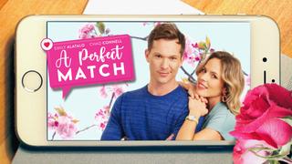  watch A Perfect Match