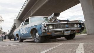 Roadkill