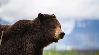 Alaska: Last American Frontier Alaska: Last American Frontier