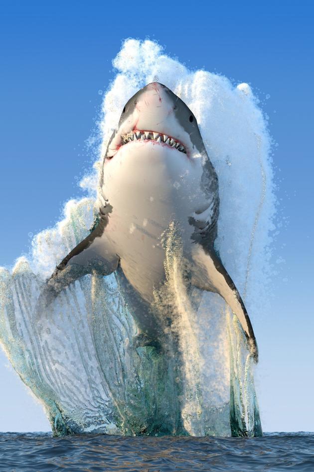 Africa's Primeval Oceans