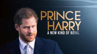 Prince Harry: A New Kind of Royal