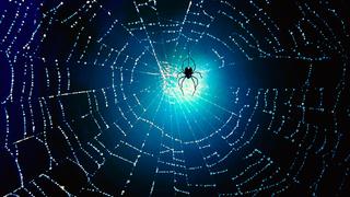 Super Spider Silk Super Spider Silk