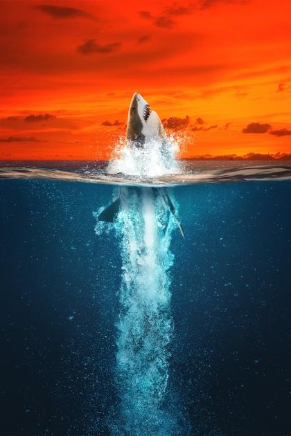 Air Jaws: Going for Gold