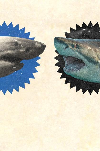 Jaws Awakens: Phred vs. Slash