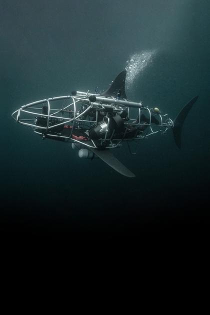 Mechashark