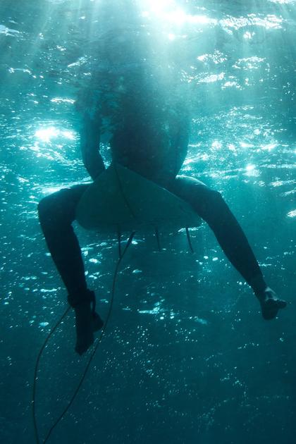 I Was Prey: Shark Week 2021