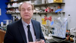 Engineering Catastrophes