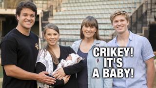 Crikey! It's A Baby!
