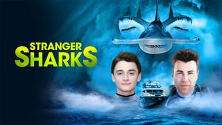 Stranger Sharks