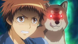 Maid Latte & a Whole Bunch of Sweets