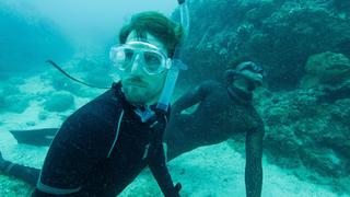 Shark Swarm Freedive Shark Swarm Freedive