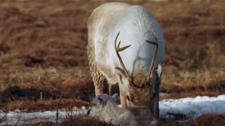 Springing Into Action Springing Into Action