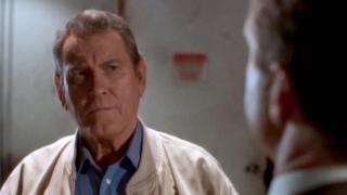 Constant Craving Constant Craving