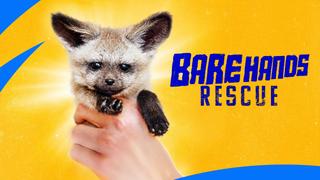 Bare Hands Rescue