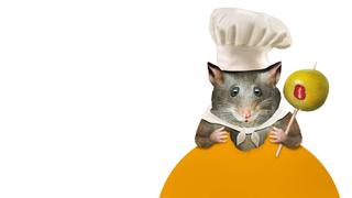 Mouse Hunt
