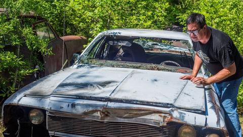 Forest Finds: in the Weeds in NASCAR Country!