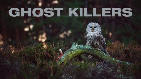 Ghost Killers