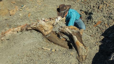 This Thing is a Monster