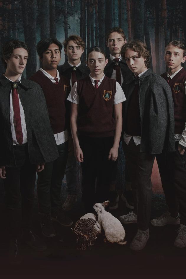 The Hole in the Fence