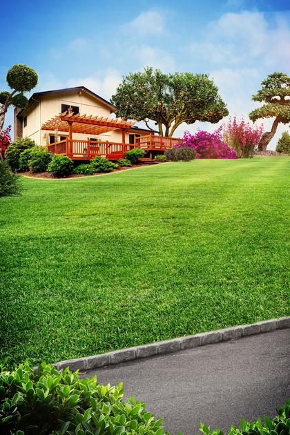 Curb Appeal Xtreme