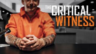  watch The Critical Witness