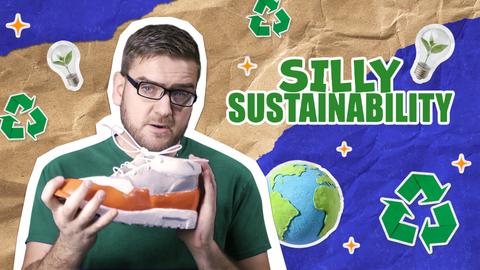 Silly Sustainability