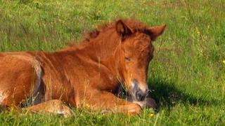 Chilly With the Family Chilly With the Family
