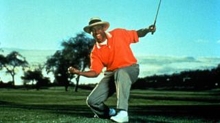 The Tiger Woods Story