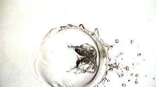Fluid Dynamics