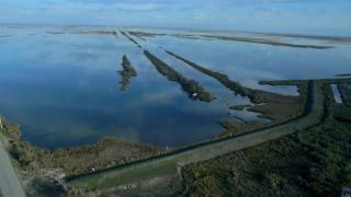 The Disappearing Delta