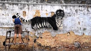 People Are Awesome: Spotlight