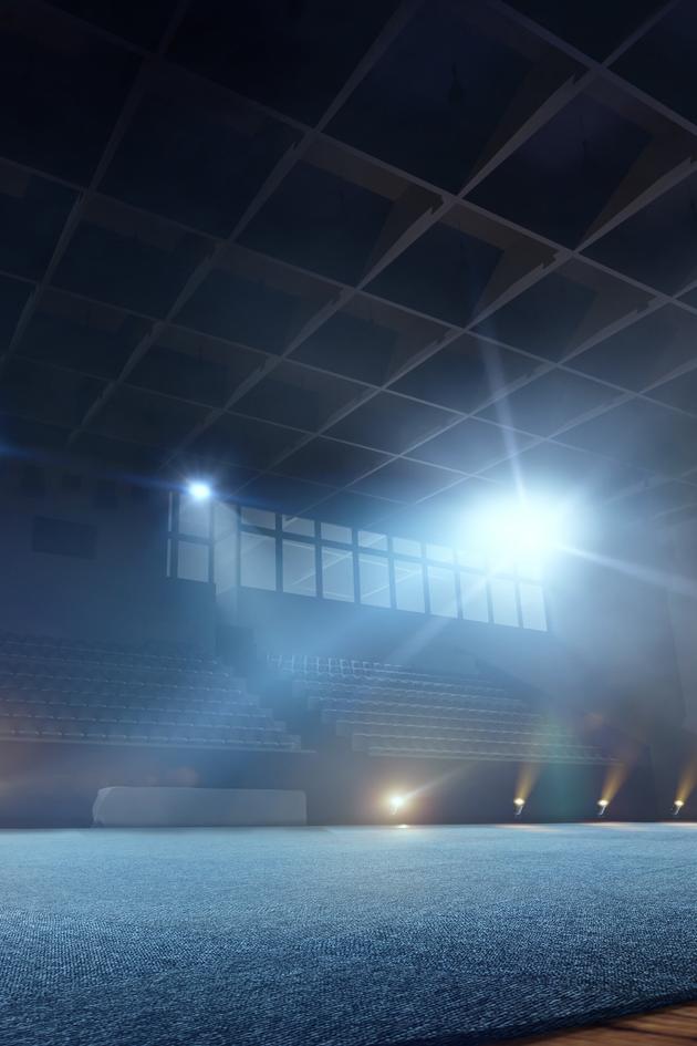 PAA 2021 Summer of Sports: All-Around Gymnasts