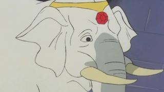 The Disappearing Elephant Mystery