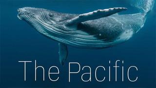  watch The Pacific