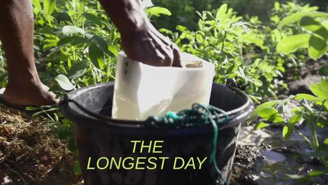 The Longest Day