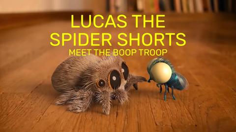 Lucas the Spider Shorts: Meet the Boop Troop
