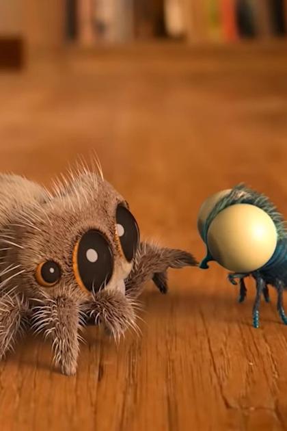 Lucas the Spider Shorts: Meet the Boop Troop