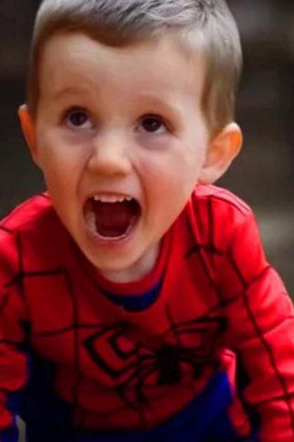 The Disappearance of William Tyrrell