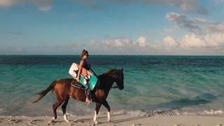 Season Pass Season Pass