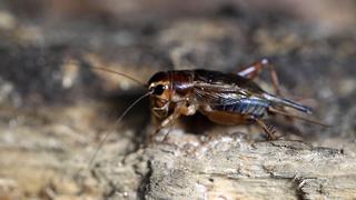 The Proof Is Out There