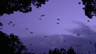 The Proof Is Out There