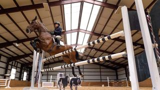 Kentucky: The Horse Jumper Kentucky: The Horse Jumper