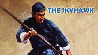 The Skyhawk