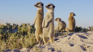 South Africa