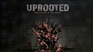 Uprooted: The Journey of Jazz Dance