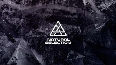 Natural Selection
