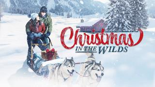  watch Christmas in the Wilds