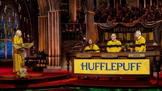 Gryffindor v Hufflepuff