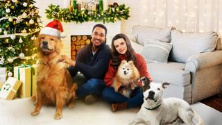 The Dog Days of Christmas