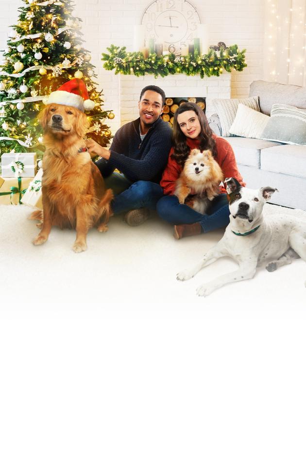 The Dog Days of Christmas